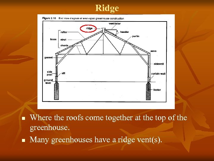 Ridge n n Where the roofs come together at the top of the greenhouse.