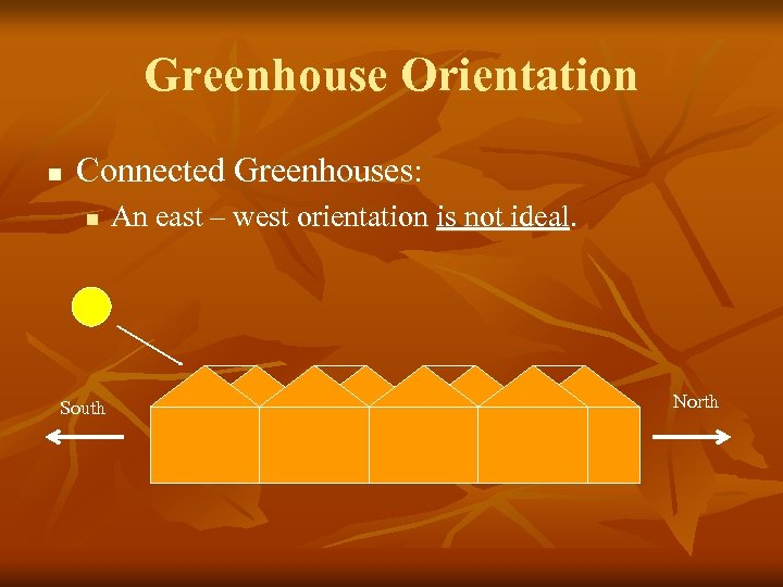 Greenhouse Orientation n Connected Greenhouses: n South An east – west orientation is not