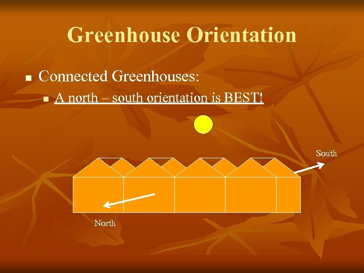 Greenhouse Orientation n Connected Greenhouses: n A north – south orientation is BEST! South