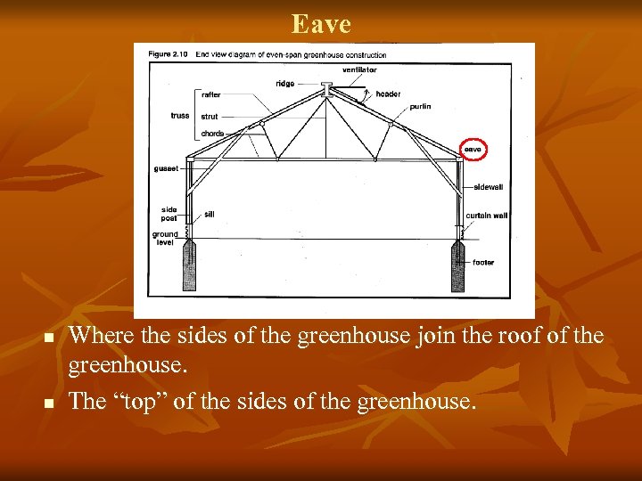 Eave n n Where the sides of the greenhouse join the roof of the