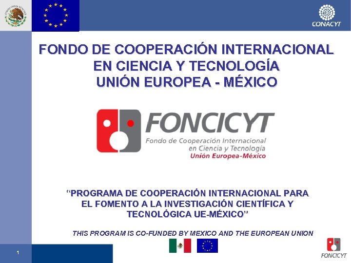 FONDO DE COOPERACIÓN INTERNACIONAL EN CIENCIA Y TECNOLOGÍA UNIÓN EUROPEA - MÉXICO “PROGRAMA DE