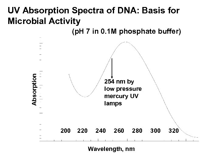 UV Absorption Spectra of DNA: Basis for Microbial Activity Absorption (p. H 7 in