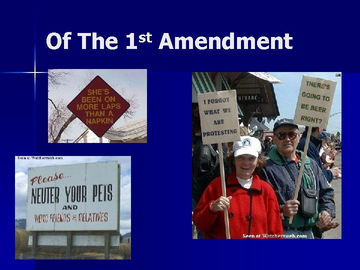 Of The 1 st Amendment 