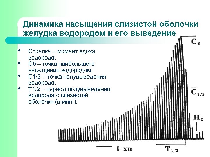 Динамика насыщения слизистой оболочки желудка водородом и его выведение • • Стрелка – момент
