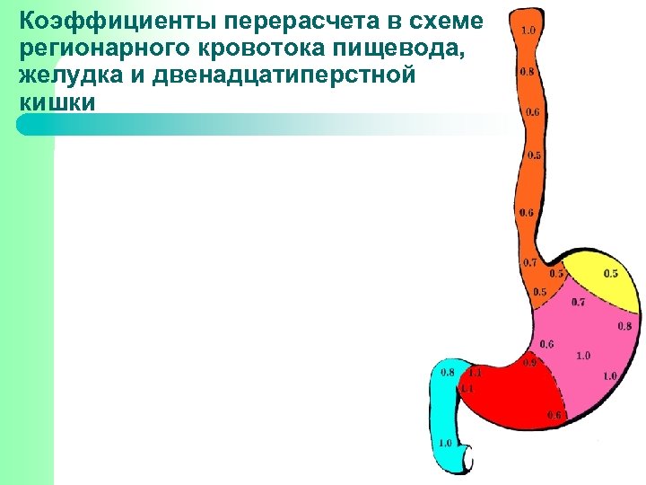 Коэффициенты перерасчета в схеме регионарного кровотока пищевода, желудка и двенадцатиперстной кишки 