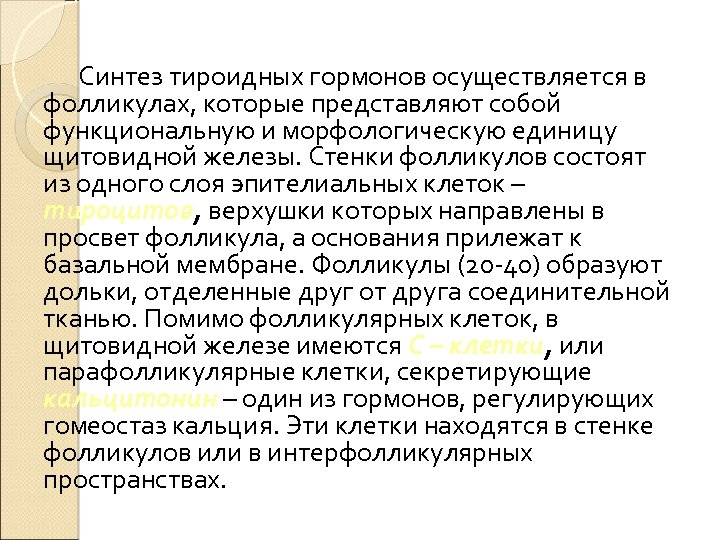 Синтез тироидных гормонов осуществляется в фолликулах, которые представляют собой функциональную и морфологическую единицу щитовидной