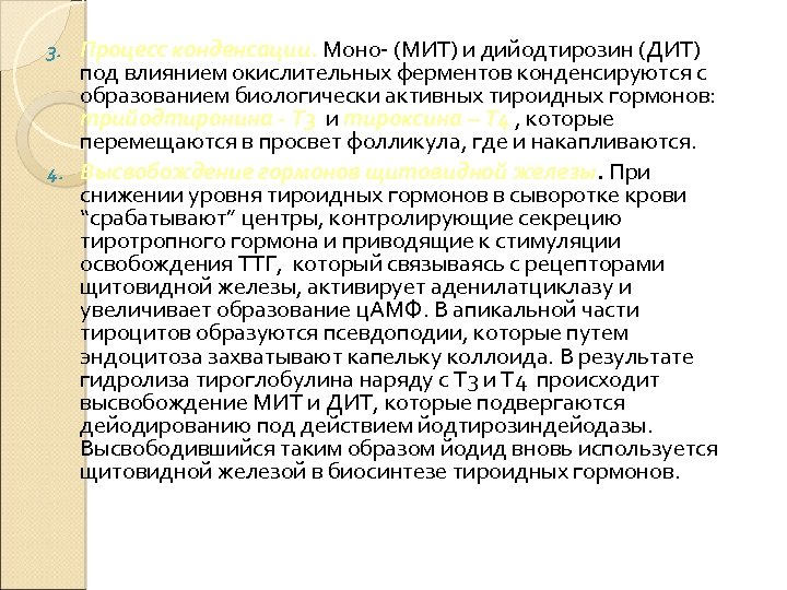 Процесс конденсации. Моно- (МИТ) и дийодтирозин (ДИТ) под влиянием окислительных ферментов конденсируются с образованием