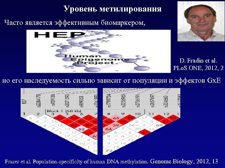 Уровень метилирования Часто является эффективным биомаркером, D. Fradin et al. PLo. S ONE, 2012,