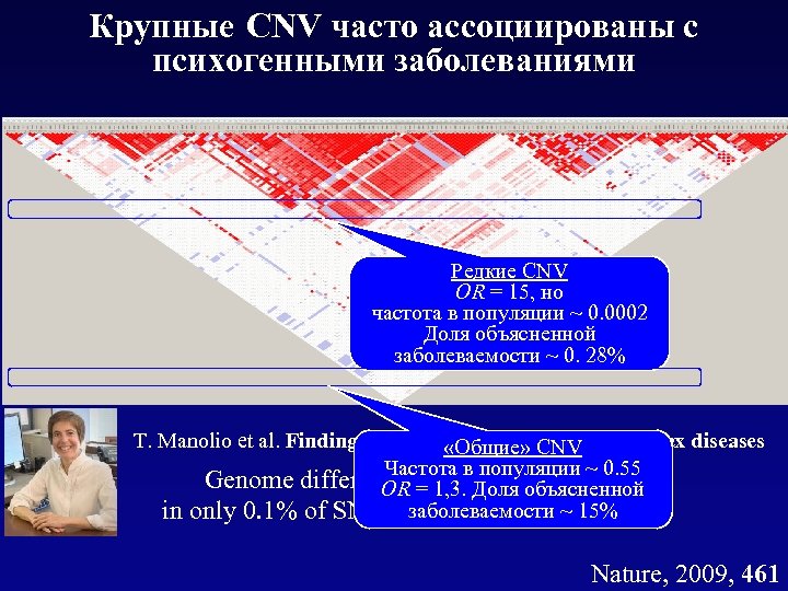 Крупные CNV часто ассоциированы с психогенными заболеваниями Редкие CNV OR = 15, но частота