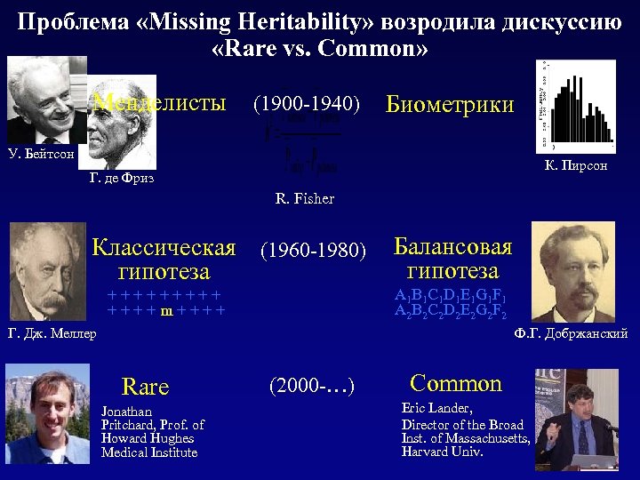 Проблема «Missing Heritability» возродила дискуссию «Rare vs. Common» Менделисты (1900 -1940) Биометрики У. Бейтсон