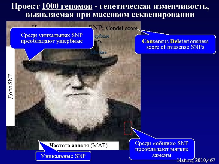 Проект 1000 геномов - генетическая изменчивость, выявляемая при массовом секвенировании Несинонимичные SNP: Condel score