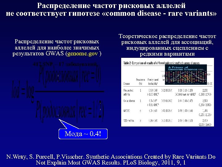 Распределение частот рисковых аллелей не соответствует гипотезе «common disease - rare variants» Распределение частот