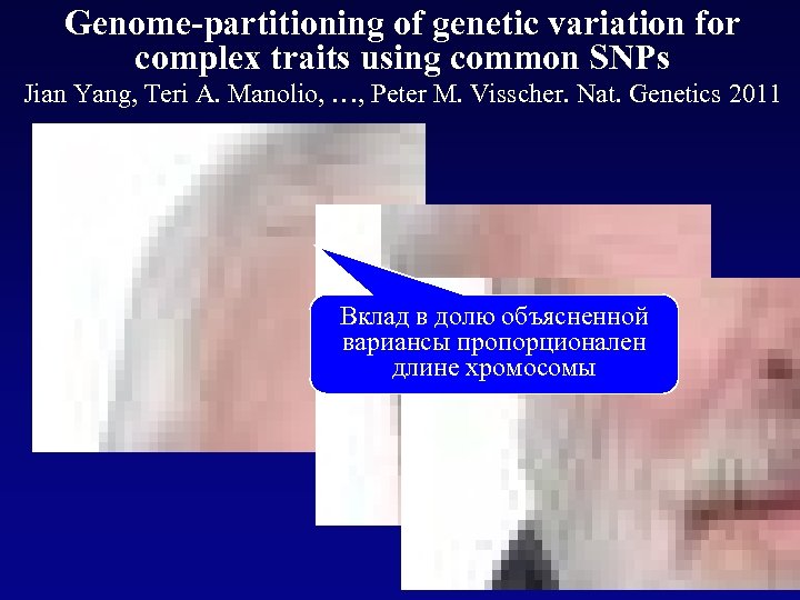 Genome-partitioning of genetic variation for complex traits using common SNPs Jian Yang, Teri A.