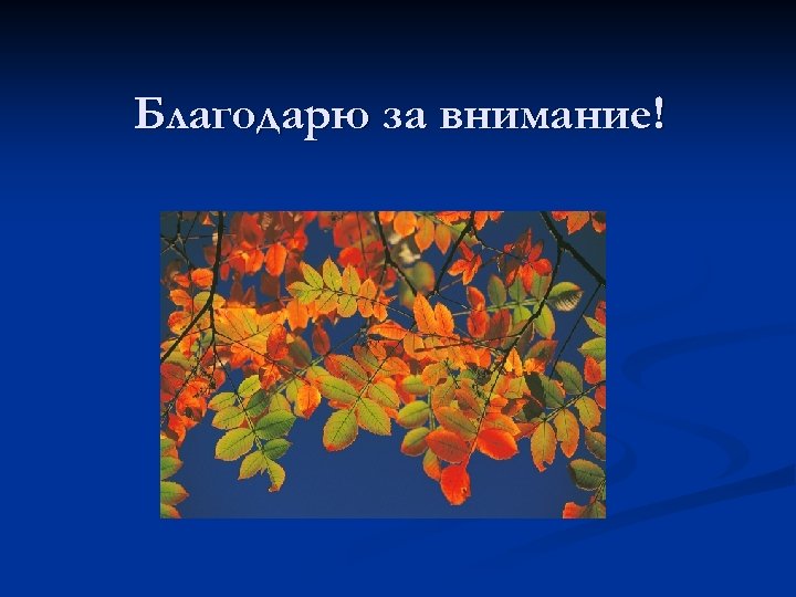 Благодарю за внимание! 