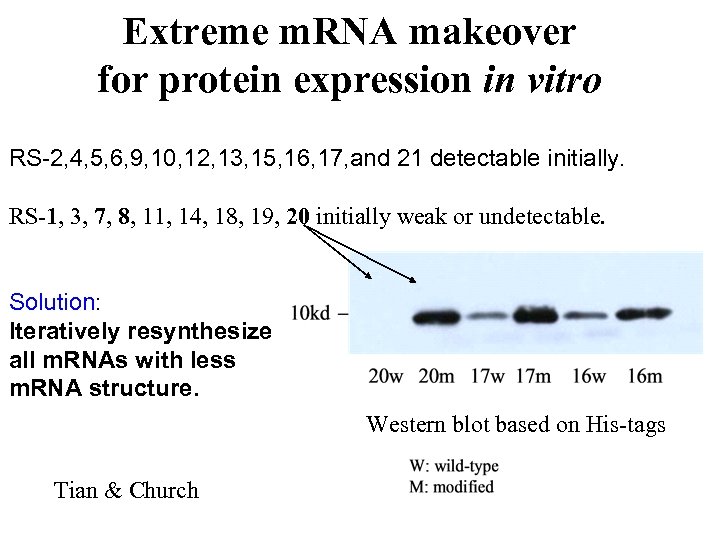 Extreme m. RNA makeover for protein expression in vitro RS-2, 4, 5, 6, 9,