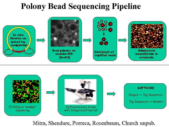 Polony Bead Sequencing Pipeline In vitro libraries via paired tag manipulation Bead polonies via