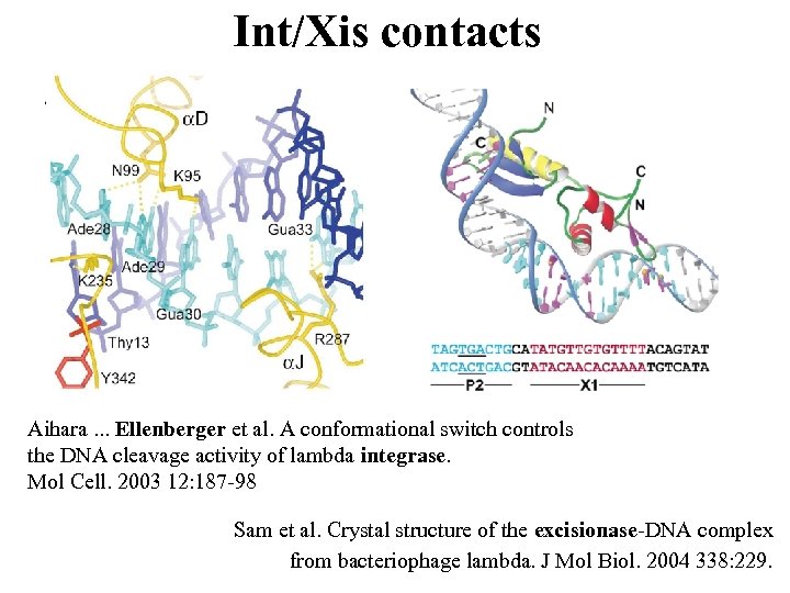 Int/Xis contacts Aihara. . . Ellenberger et al. A conformational switch controls the DNA