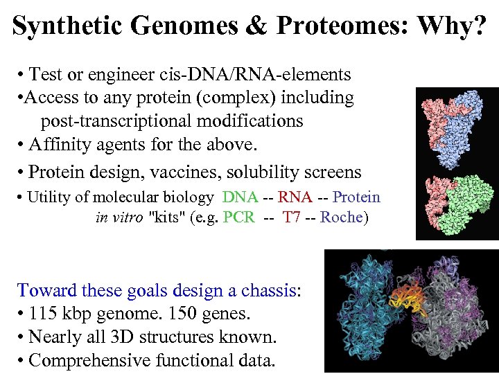 Synthetic Genomes & Proteomes: Why? • Test or engineer cis-DNA/RNA-elements • Access to any