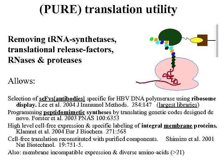 (PURE) translation utility Removing t. RNA-synthetases, translational release-factors, RNases & proteases Allows: Selection of