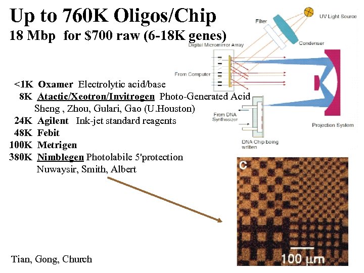 Up to 760 K Oligos/Chip 18 Mbp for $700 raw (6 -18 K genes)