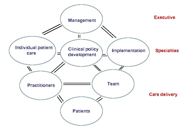 Executive Management Individual patient care Clinical policy development Implementation Specialties Team Practitioners Care delivery