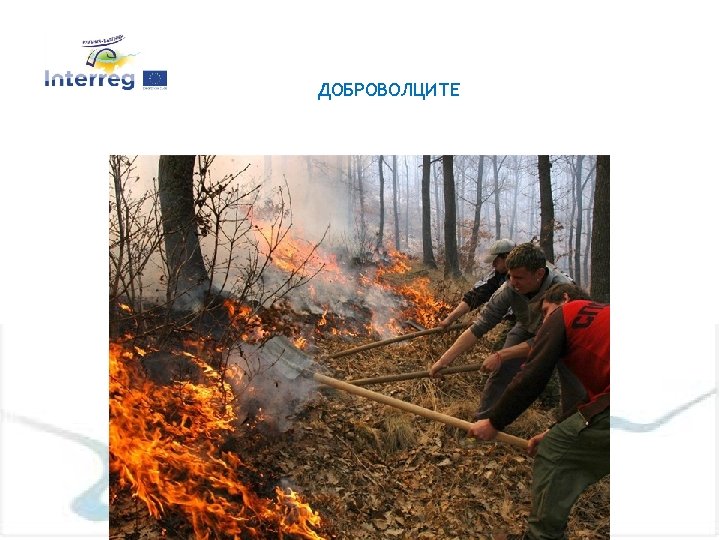 ДОБРОВОЛЦИТЕ 7 