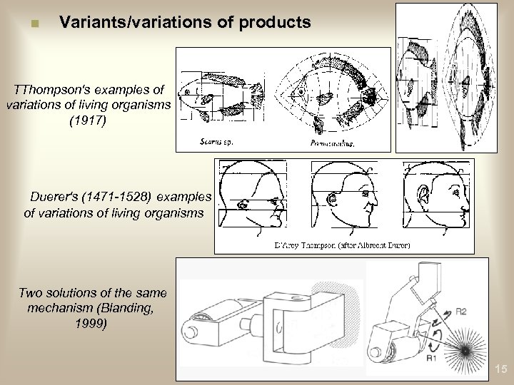n Variants/variations of products TThompson's examples of variations of living organisms (1917) Duerer's (1471