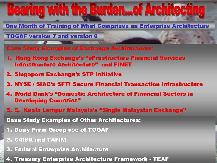 One Month of Training of What Comprises an Enterprise Architecture TOGAF version 7 and
