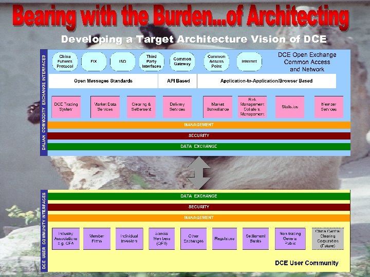 Developing a Target Architecture Vision of DCE 