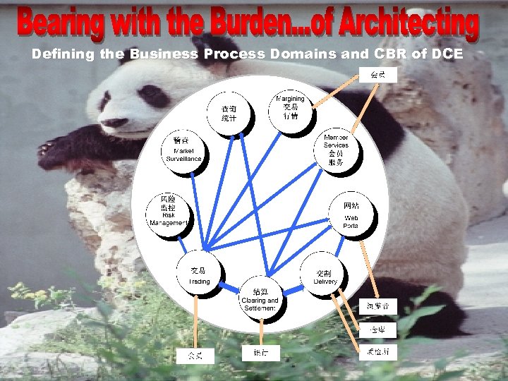 Defining the Business Process Domains and CBR of DCE 
