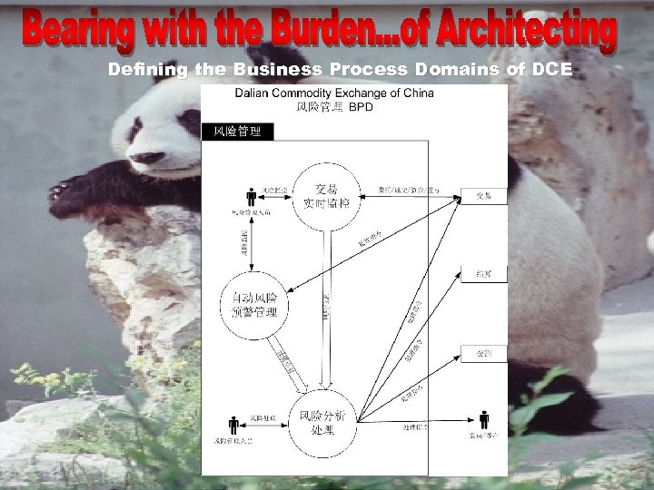 Defining the Business Process Domains of DCE 