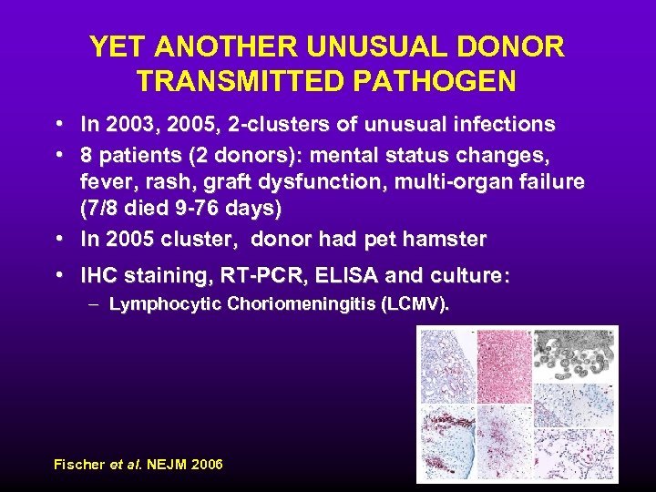 YET ANOTHER UNUSUAL DONOR TRANSMITTED PATHOGEN • In 2003, 2005, 2 -clusters of unusual
