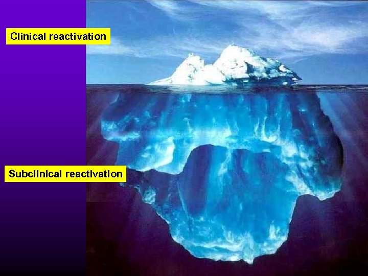 Clinical reactivation Subclinical reactivation 