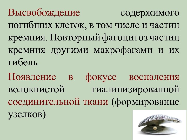 Высвобождение содержимого погибших клеток, в том числе и частиц кремния. Повторный фагоцитоз частиц кремния