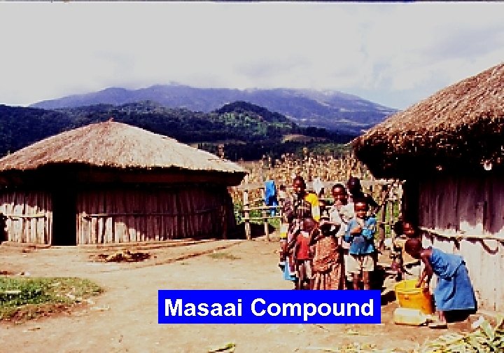 Masaai Compound 