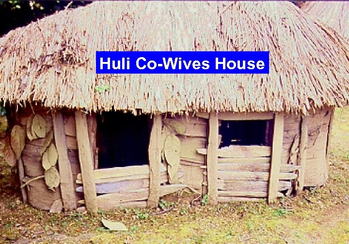 Huli Co-Wives House 