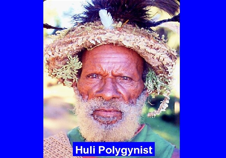 Huli Polygynist 