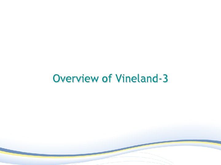 Overview of Vineland-3 