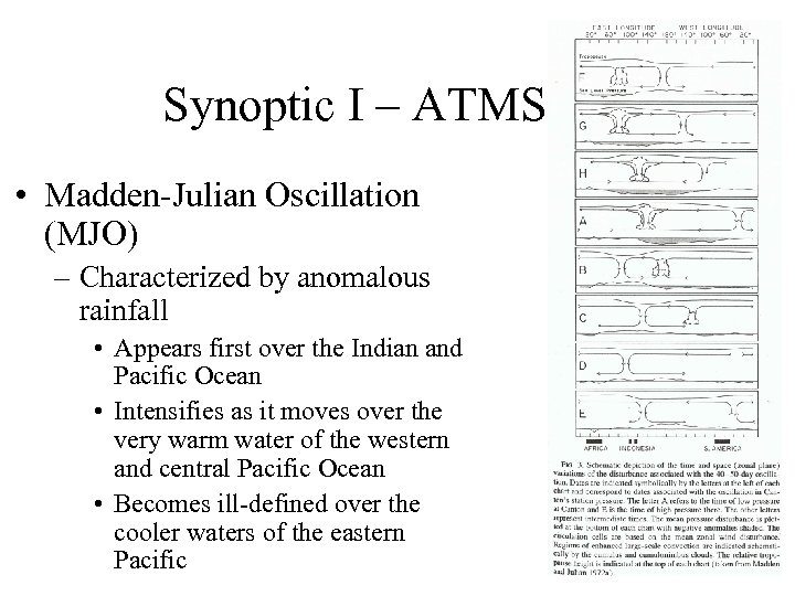 Synoptic I – ATMS 410 • Madden-Julian Oscillation (MJO) – Characterized by anomalous rainfall