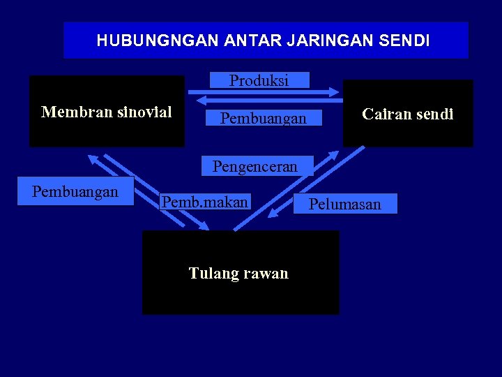 HUBUNGNGAN ANTAR JARINGAN SENDI Produksi Membran sinovial Pembuangan Cairan sendi Pengenceran Pembuangan Pemb. makan