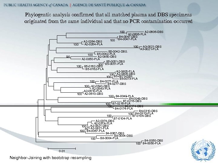 Phylogentic analysis confirmed that all matched plasma and DBS specimens originated from the same