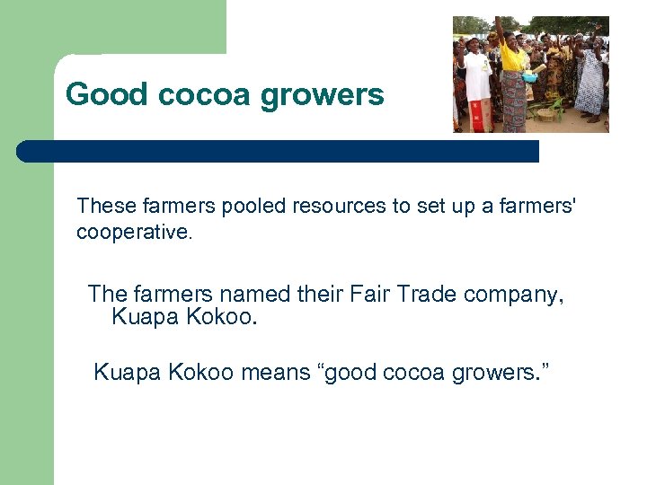 Good cocoa growers These farmers pooled resources to set up a farmers' cooperative. The