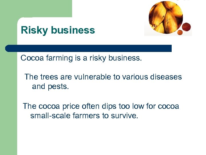 Risky business Cocoa farming is a risky business. The trees are vulnerable to various