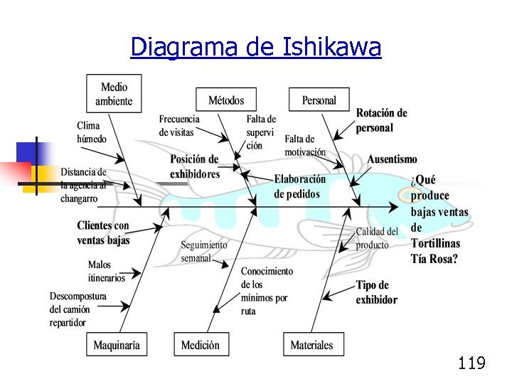 Diagrama de Ishikawa 119 