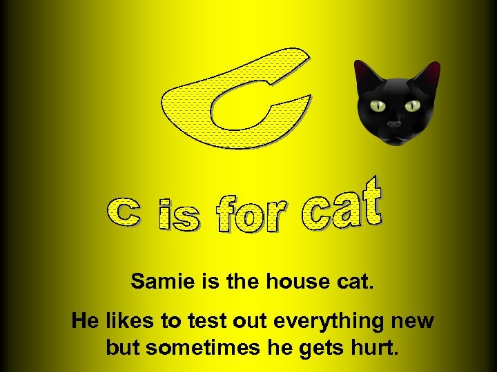 Samie is the house cat. He likes to test out everything new but sometimes
