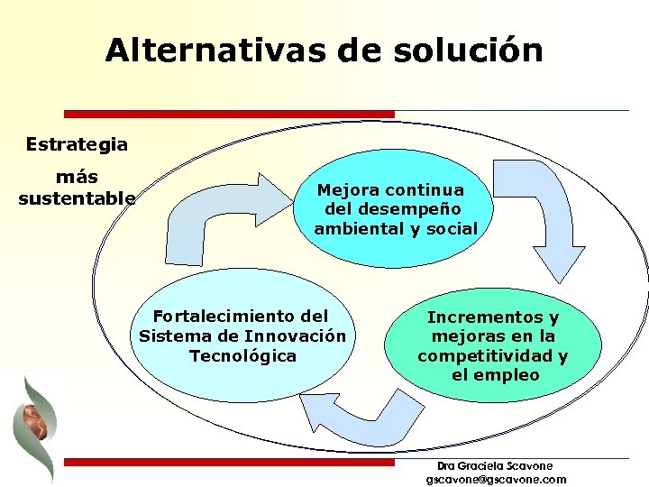 Alternativas de solución Estrategia más sustentable Mejora continua del desempeño ambiental y social Fortalecimiento