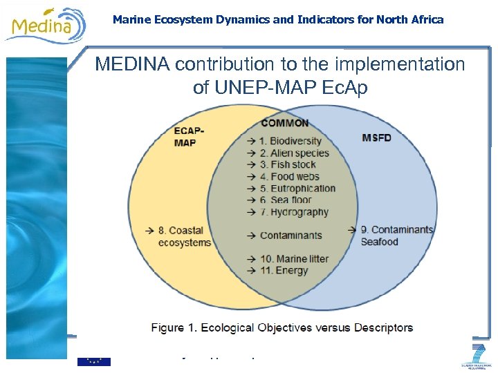 Marine Ecosystem Dynamics and Indicators for North Africa MEDINA contribution to the implementation of