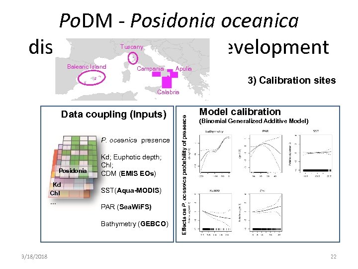 Po. DM - Posidonia oceanica distribution model - Development Tuscany Balearic Island Campania Apulia