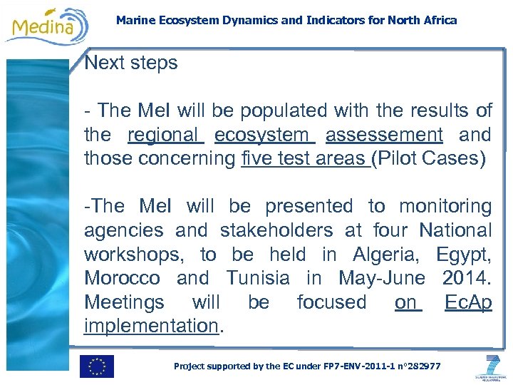 Marine Ecosystem Dynamics and Indicators for North Africa Next steps - The Me. I