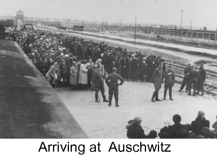 Arriving at Auschwitz 